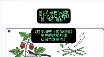 第一节： 选种与规划&mdash;&mdash;为什么在辽宁我们要&ldquo;砍&rdquo;着种？，课程：《辽宁树莓（海尔特兹）高产避坑实战课：从保苗到高价》