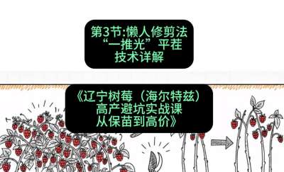 第三节： 懒人修剪法&mdash;&mdash;&ldquo;一推光&rdquo;平茬技术详解，课程：《辽宁树莓（海尔特兹）高产避坑实战课：从保苗到高价》