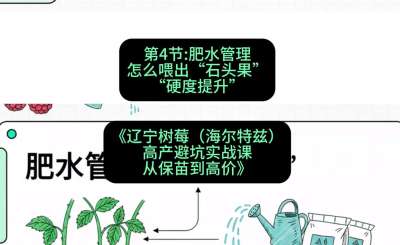 第四节： 肥水管理&mdash;&mdash;怎么喂出&ldquo;石头果&rdquo;（硬度提升），课程：《辽宁树莓（海尔特兹）高产避坑实战课：从保苗到高价》