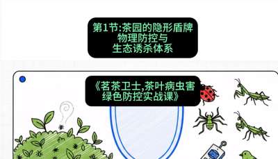第01节：茶园的&ldquo;隐形盾牌&rdquo;&mdash;&mdash;物理防控与生态诱杀体系，课程：《茗茶卫士&mdash;&mdash;茶叶病虫害绿色防控实战课》#识农AI