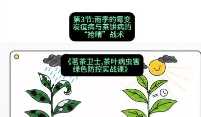 第03节：雨季的霉变&mdash;&mdash;炭疽病与茶饼病的&ldquo;抢晴&rdquo;战术，课程：《茗茶卫士&mdash;&mdash;茶叶病虫害绿色防控实战课》#识农AI