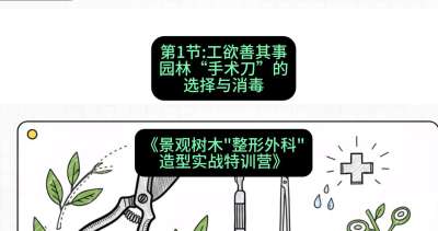 第01节：工欲善其事&mdash;&mdash;园林&ldquo;手术刀&rdquo;的选择与消毒，课程：《景观树木&ldquo;整形外科&rdquo;造型实战特训营》#识农AI