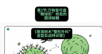 第02节：万物皆可盘&mdash;&mdash;&ldquo;精球形&rdquo;修剪的圆润秘籍，课程：《景观树木&ldquo;整形外科&rdquo;造型实战特训营》#识农AI