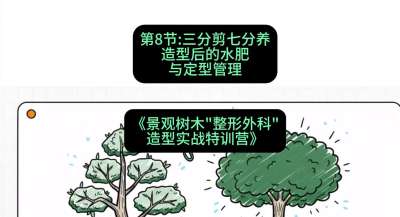 第08节：三分剪七分养&mdash;&mdash;造型后的水肥与定型管理，课程：《景观树木&ldquo;整形外科&rdquo;造型实战特训营》#识农AI