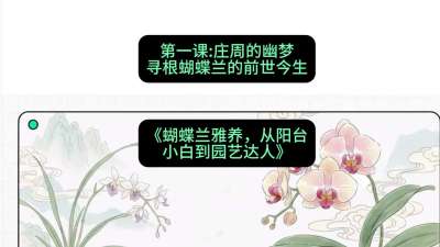 第一节：庄周的幽梦：寻根蝴蝶兰的前世今生，课程：《蝴蝶兰雅养六讲：从阳台小白到园艺达人》#识农AI