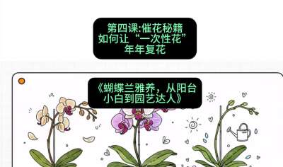 第四节：催花秘籍：如何让&ldquo;一次性花&rdquo;年年复花，课程：《蝴蝶兰雅养六讲：从阳台小白到园艺达人》#识农AI